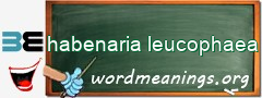 WordMeaning blackboard for habenaria leucophaea